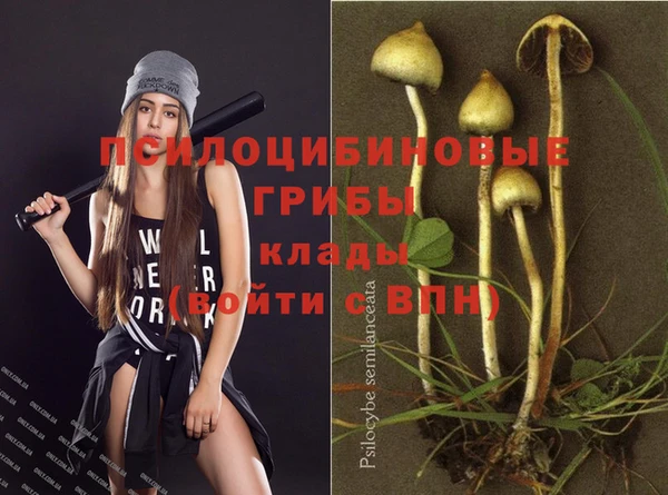 mdpv Магас
