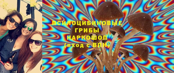 mdpv Магас