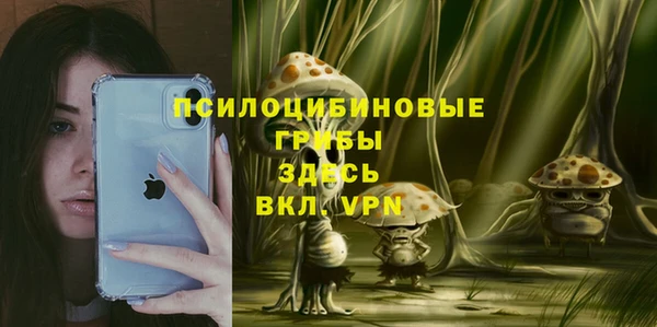 mdpv Магас