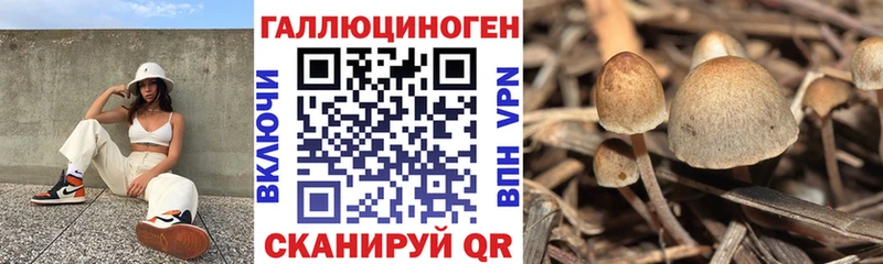 Купить где  Снежинск  Галлюциногенные грибы MAGIC MUSHROOMS 